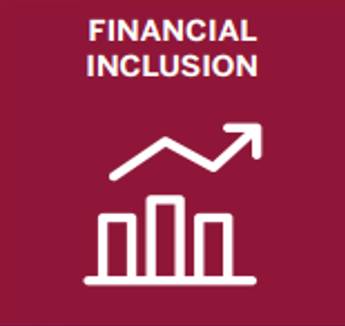 Financial Inclusion